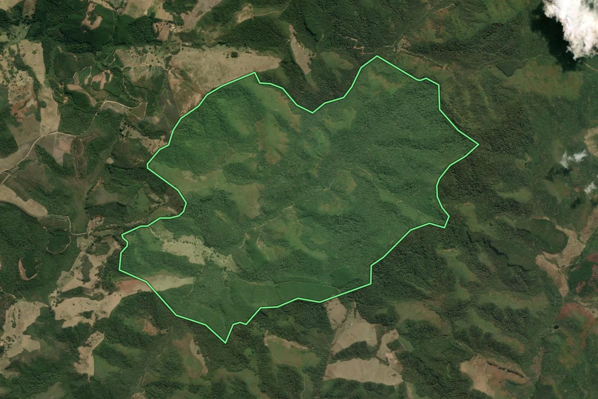 Imagem de satélite do imóvel rural em Cunha (SP), com o contorno declarado no CAR desenhado por cima.
