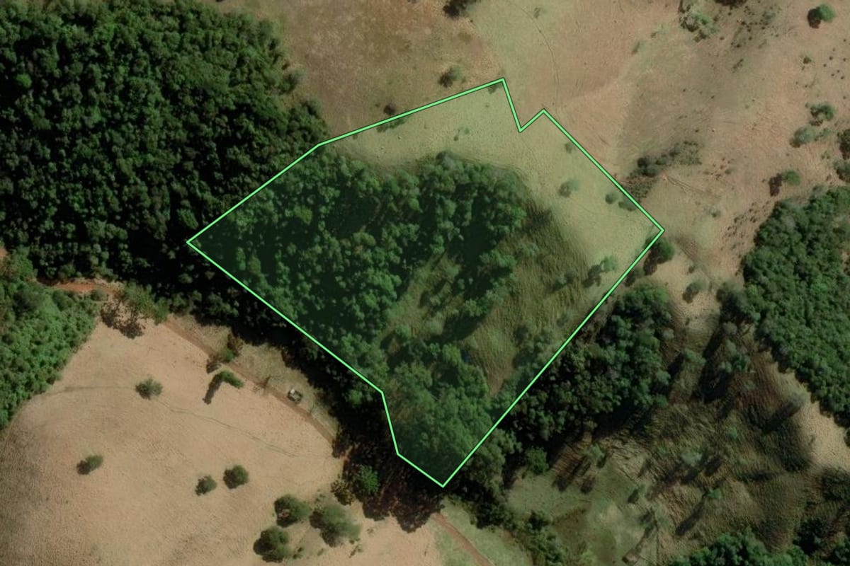 Imagem de satélite do imóvel rural em Cunha (SP), com o contorno declarado no CAR desenhado por cima.