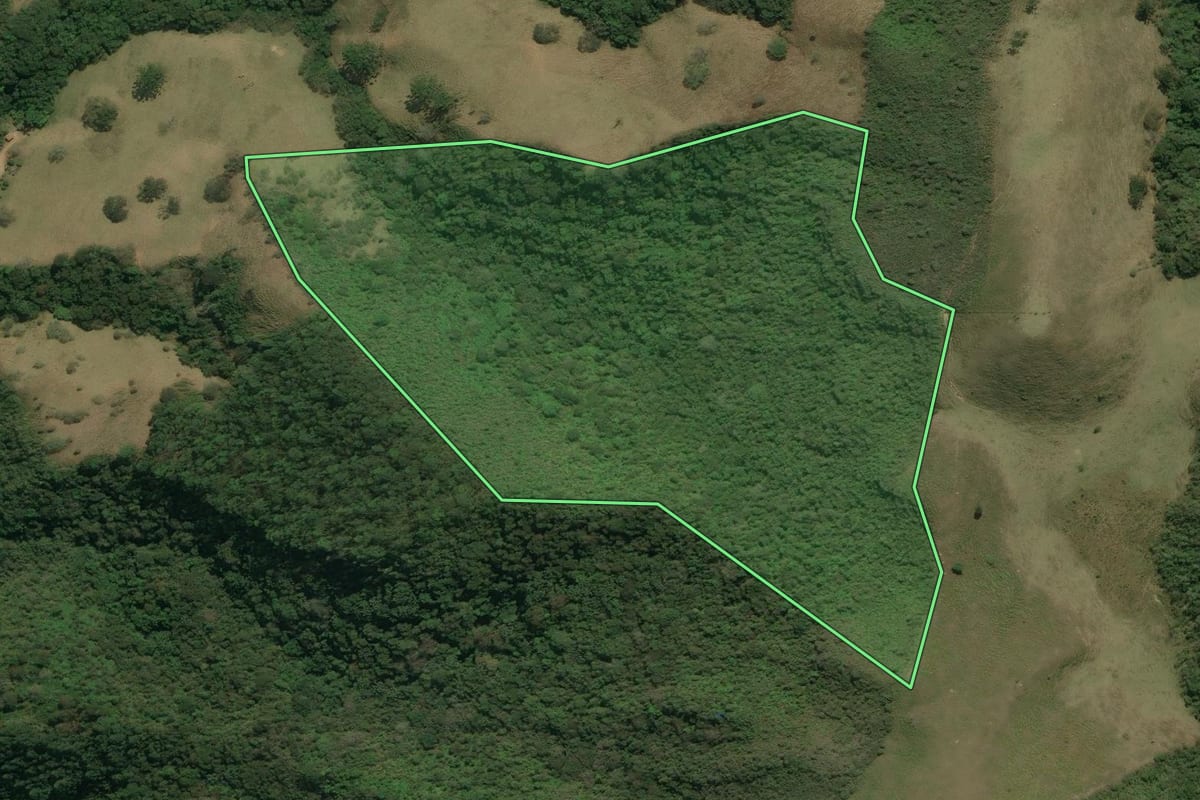 Imagem de satélite do imóvel rural em Cunha (SP), com o contorno declarado no CAR desenhado por cima.