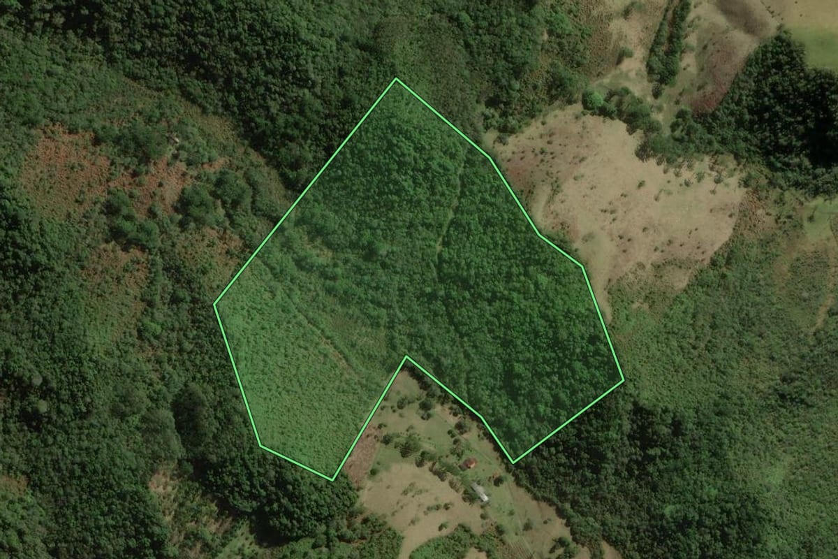 Imagem de satélite do imóvel rural em Cunha (SP), com o contorno declarado no CAR desenhado por cima.