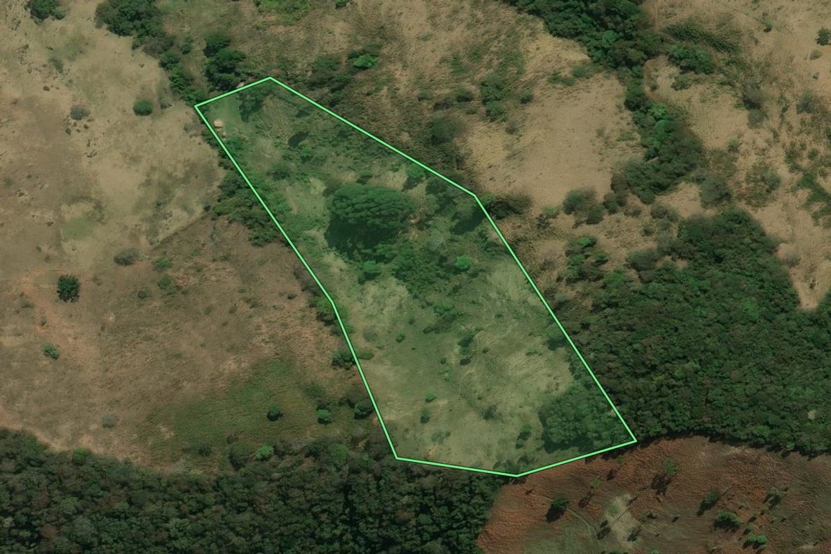 Imagem de satélite do imóvel rural em Cunha (SP), com o contorno declarado no CAR desenhado por cima.