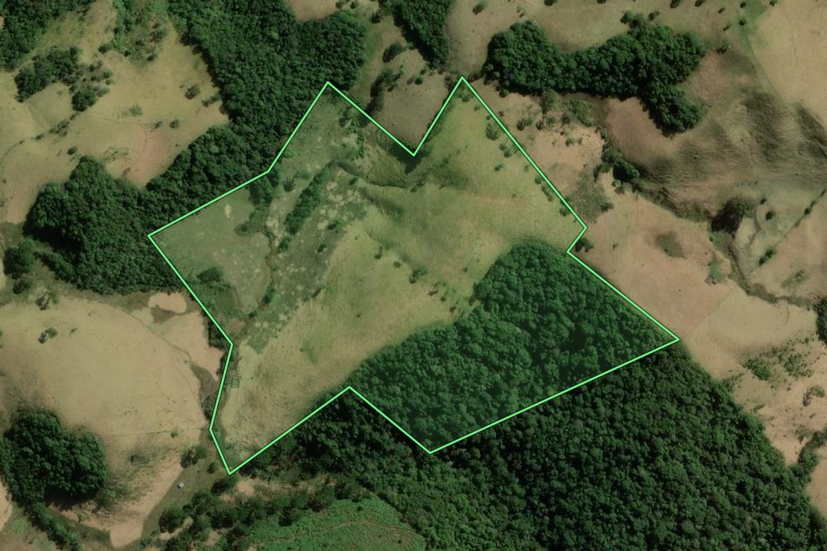 Imagem de satélite do imóvel rural em Cunha (SP), com o contorno declarado no CAR desenhado por cima.