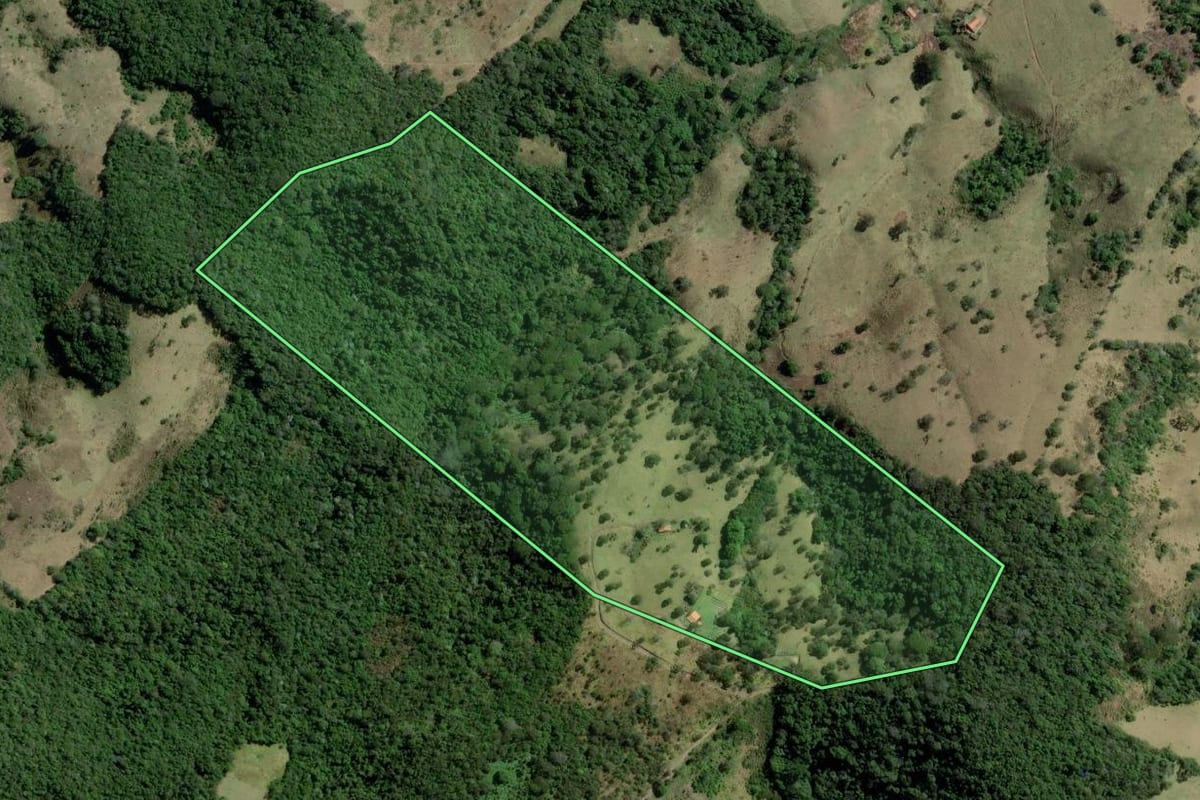 Imagem de satélite do imóvel rural em Cunha (SP), com o contorno declarado no CAR desenhado por cima.
