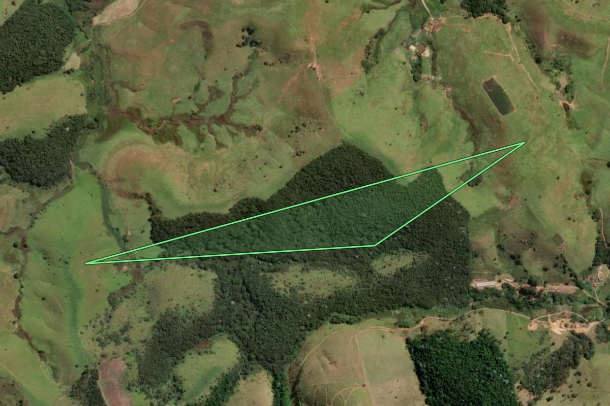 Imagem de satélite do imóvel rural em Cunha (SP), com o contorno declarado no CAR desenhado por cima.