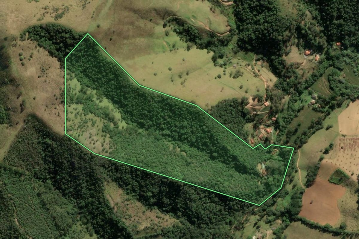 Imagem de satélite do imóvel rural em Cunha (SP), com o contorno declarado no CAR desenhado por cima.