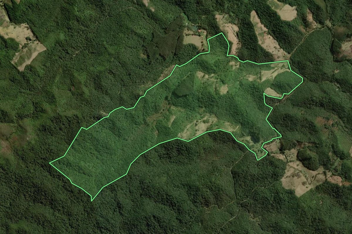 Imagem de satélite do imóvel rural em Cunha (SP), com o contorno declarado no CAR desenhado por cima.