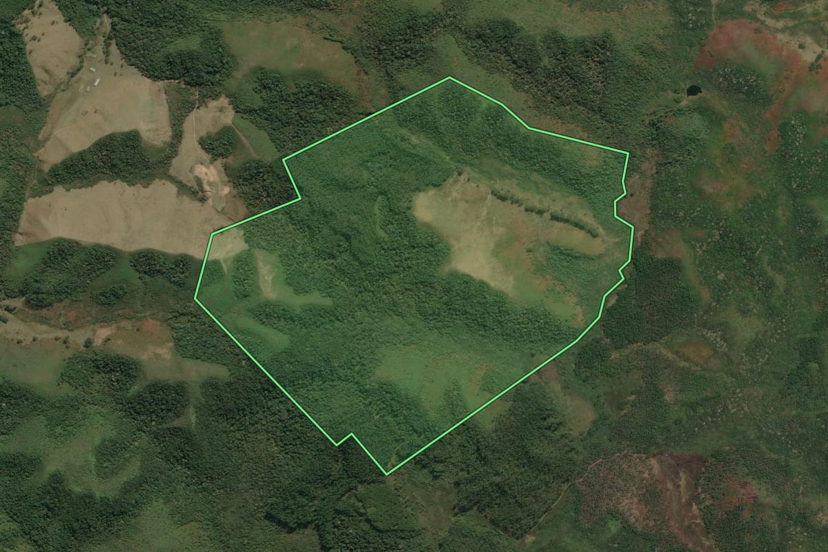 Imagem de satélite do imóvel rural em Cunha (SP), com o contorno declarado no CAR desenhado por cima.
