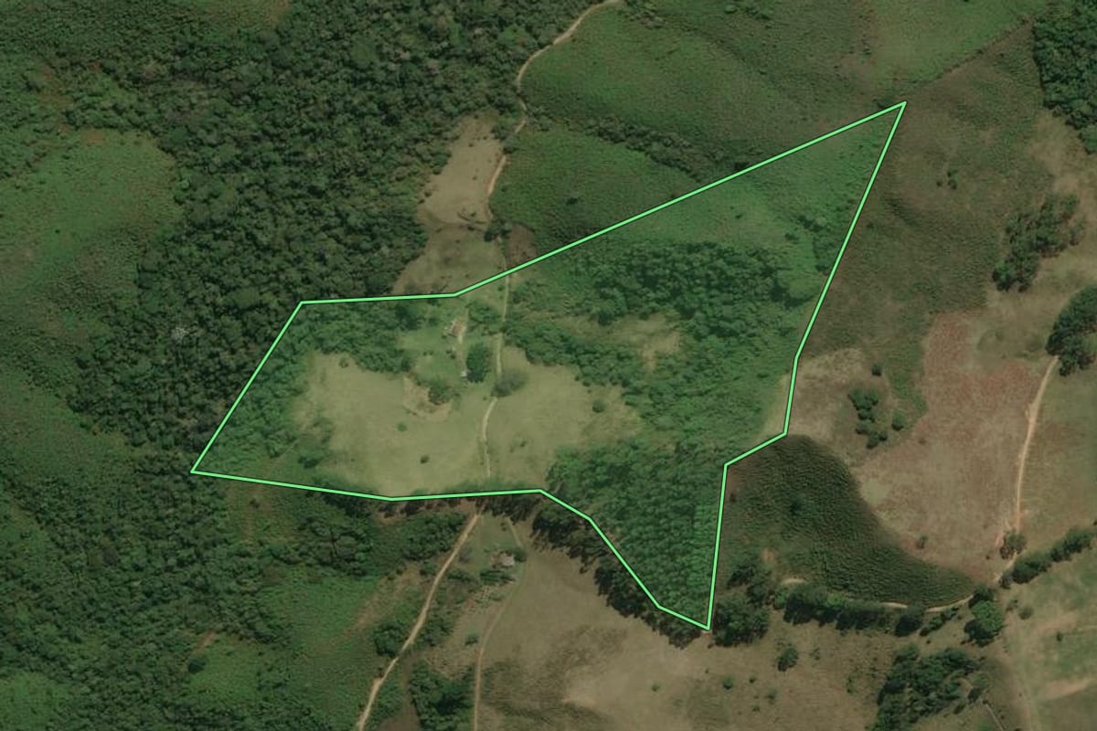 Imagem de satélite do imóvel rural em Cunha (SP), com o contorno declarado no CAR desenhado por cima.