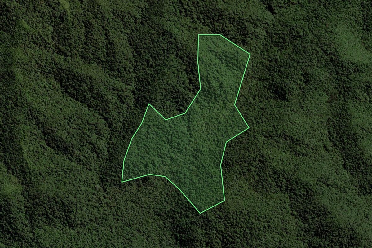 Imagem de satélite do imóvel rural em Cunha (SP), com o contorno declarado no CAR desenhado por cima.