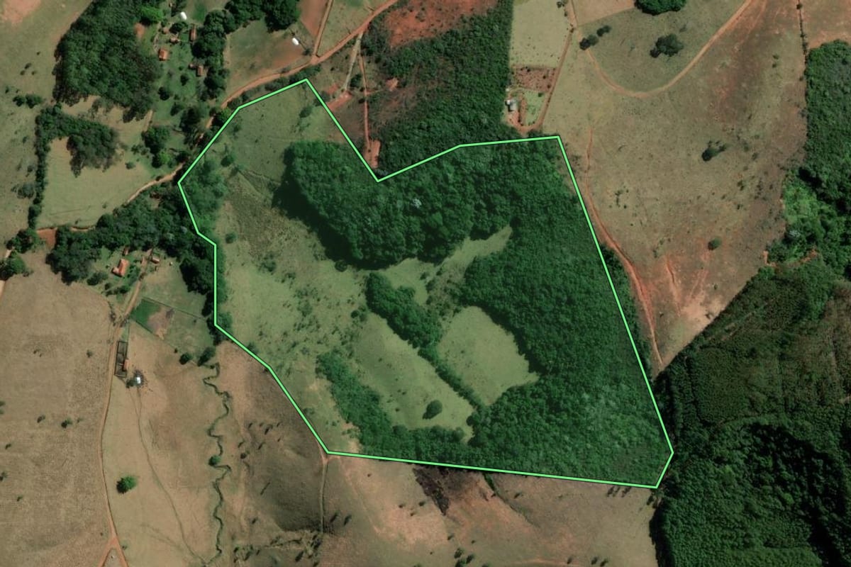 Imagem de satélite do imóvel rural em Cunha (SP), com o contorno declarado no CAR desenhado por cima.