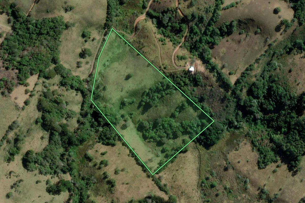 Imagem de satélite do imóvel rural em Cunha (SP), com o contorno declarado no CAR desenhado por cima.