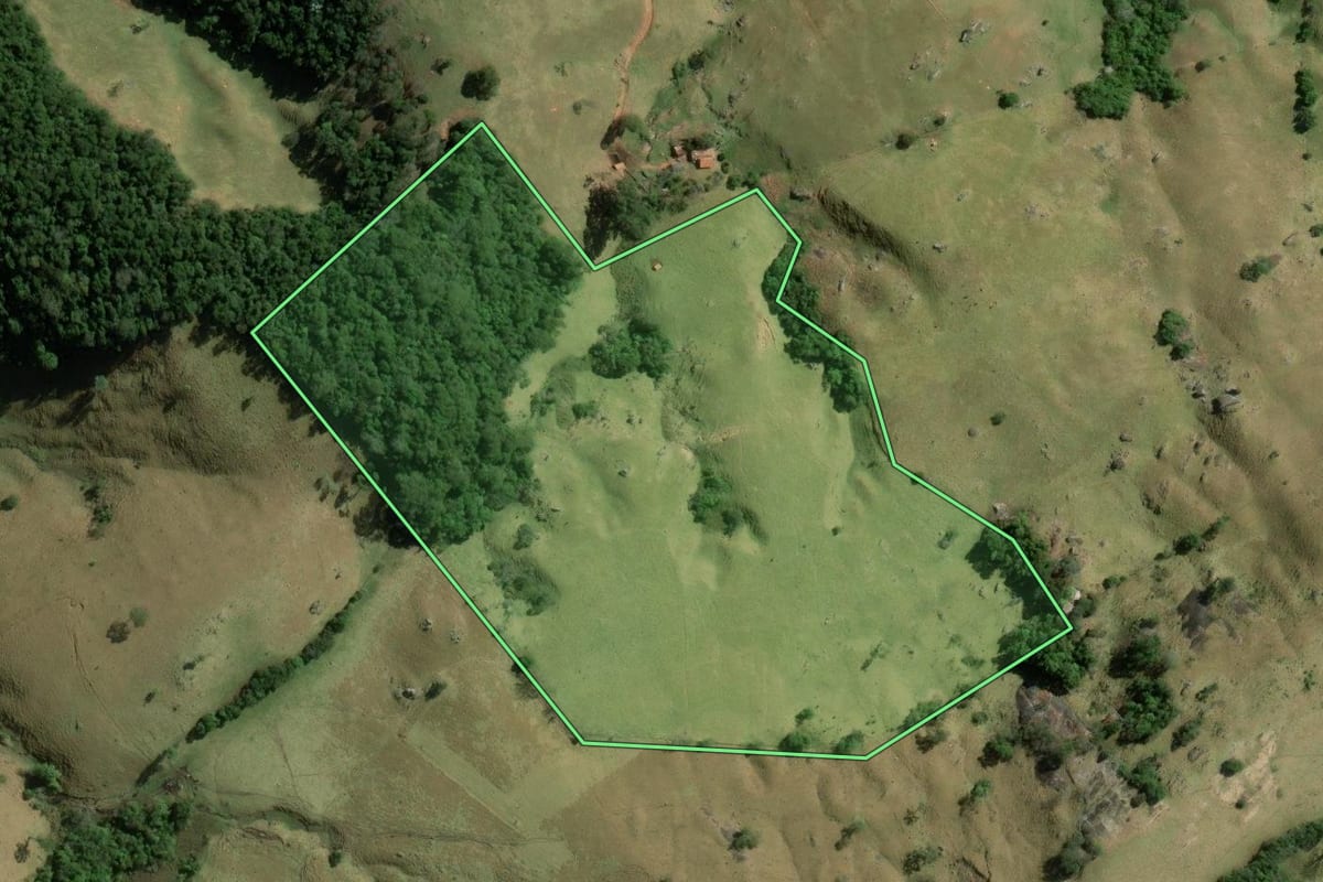 Imagem de satélite do imóvel rural em Cunha (SP), com o contorno declarado no CAR desenhado por cima.