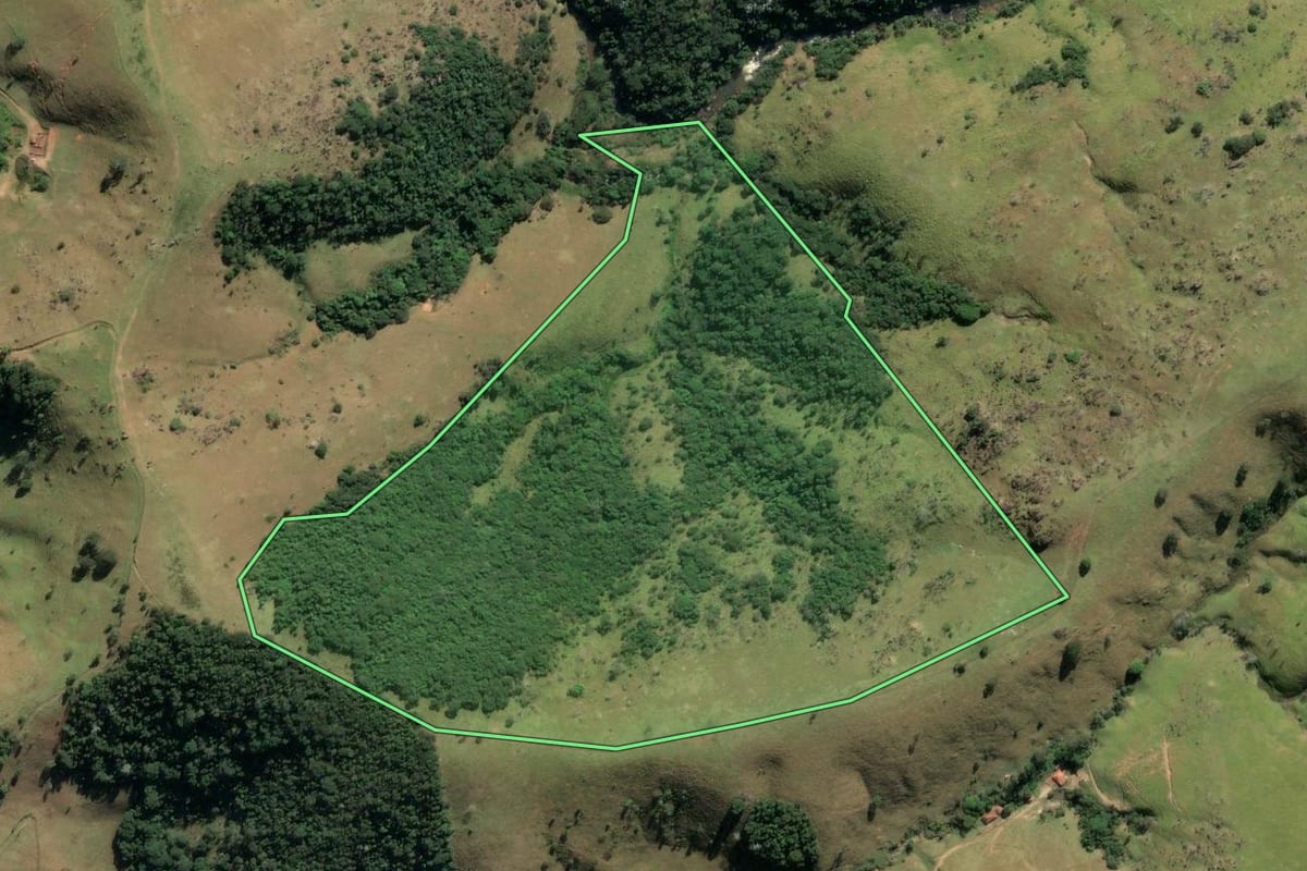 Imagem de satélite do imóvel rural em Cunha (SP), com o contorno declarado no CAR desenhado por cima.