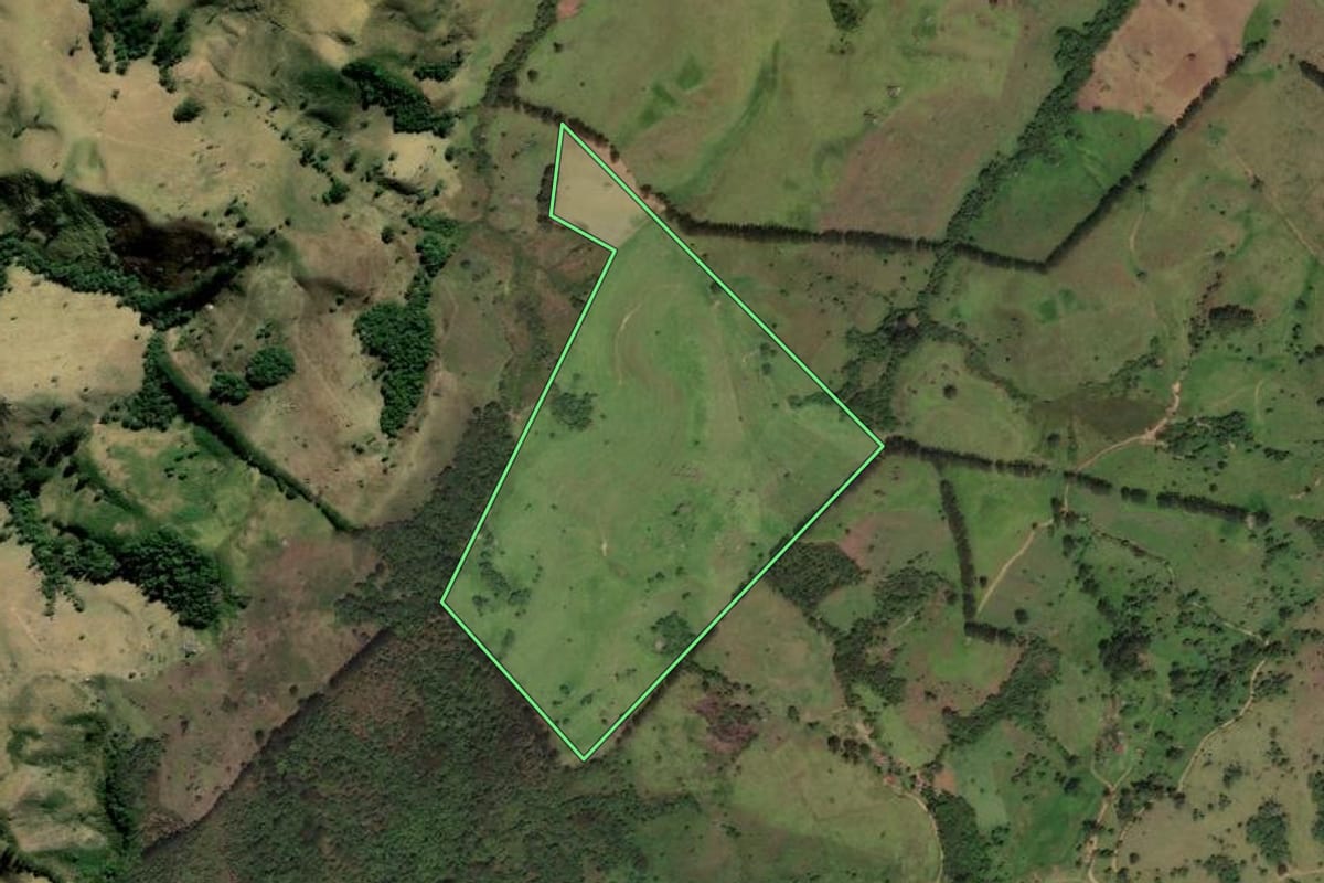 Imagem de satélite do imóvel rural em Cunha (SP), com o contorno declarado no CAR desenhado por cima.