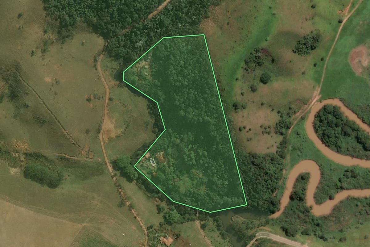 Imagem de satélite do imóvel rural em Cunha (SP), com o contorno declarado no CAR desenhado por cima.