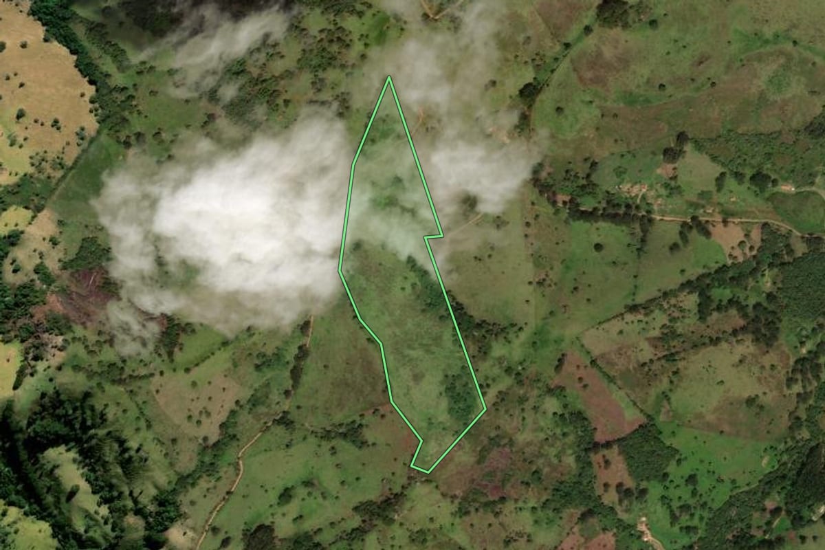 Imagem de satélite do imóvel rural em Cunha (SP), com o contorno declarado no CAR desenhado por cima.