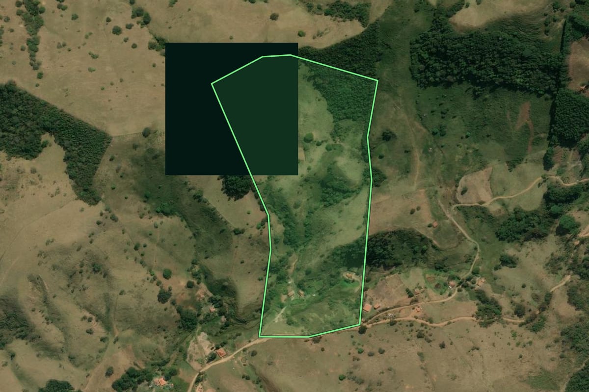 Imagem de satélite do imóvel rural em Cunha (SP), com o contorno declarado no CAR desenhado por cima.