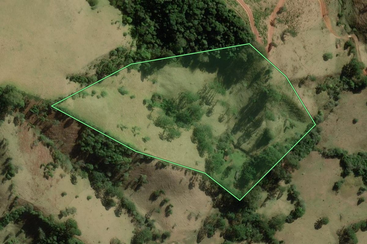 Imagem de satélite do imóvel rural em Cunha (SP), com o contorno declarado no CAR desenhado por cima.