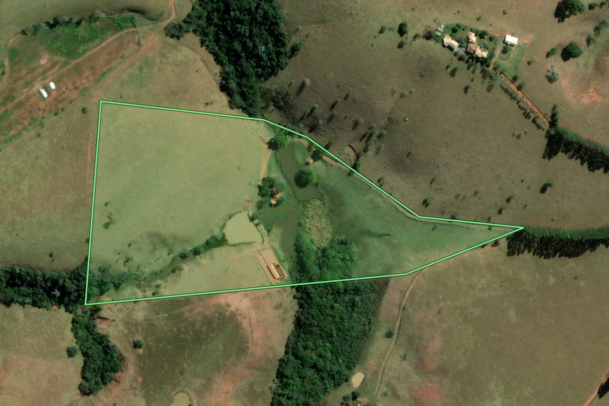 Imagem de satélite do imóvel rural em Cunha (SP), com o contorno declarado no CAR desenhado por cima.