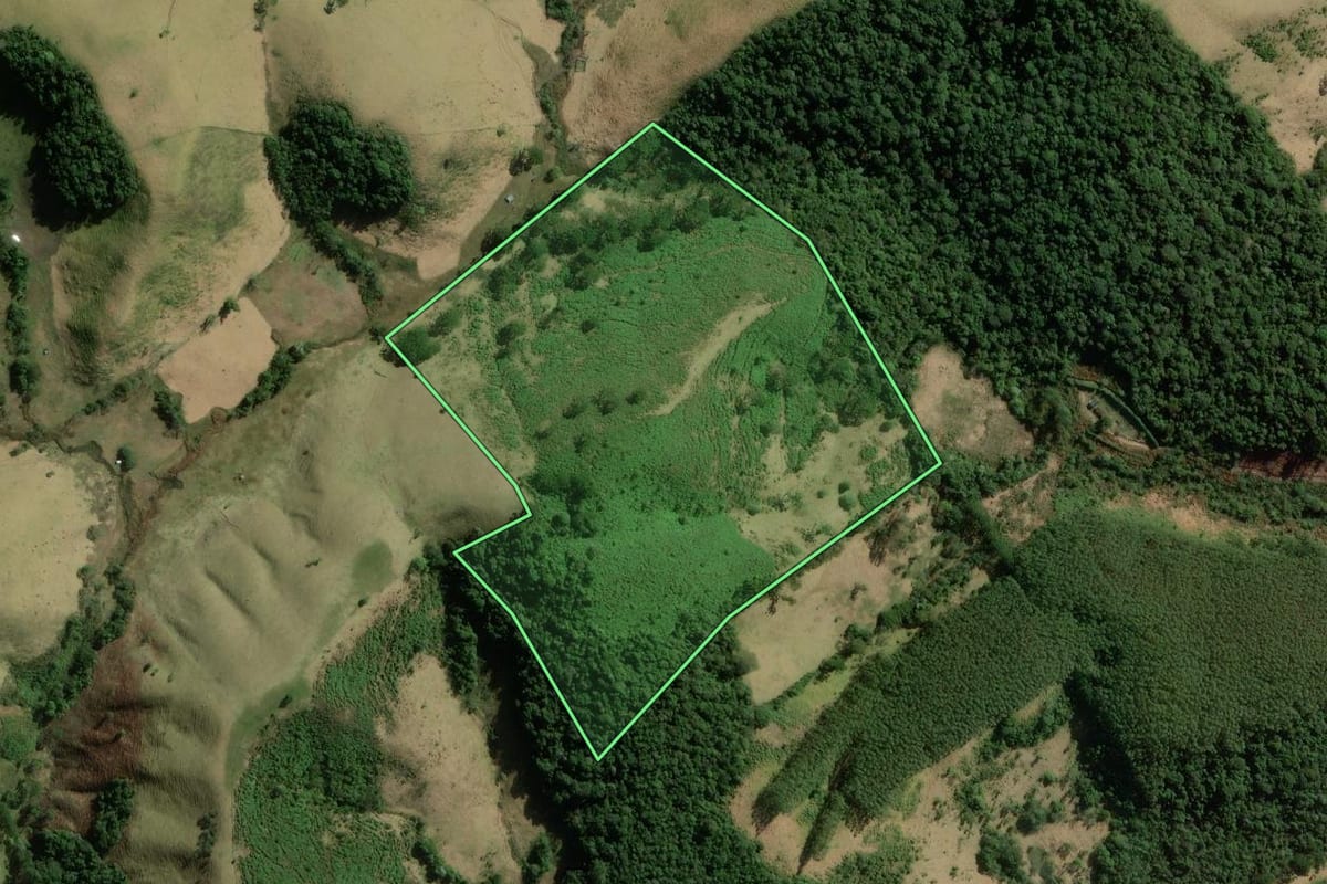 Imagem de satélite do imóvel rural em Cunha (SP), com o contorno declarado no CAR desenhado por cima.