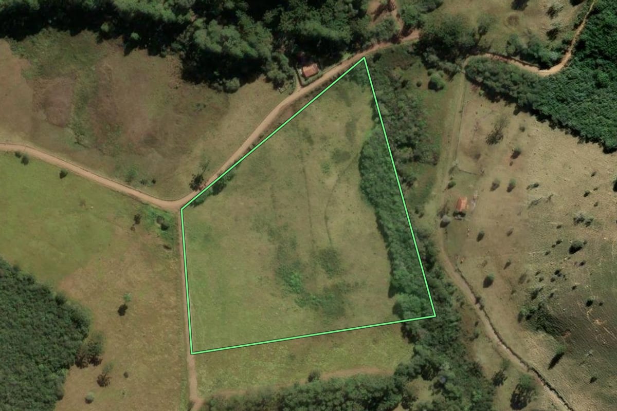 Imagem de satélite do imóvel rural em Cunha (SP), com o contorno declarado no CAR desenhado por cima.