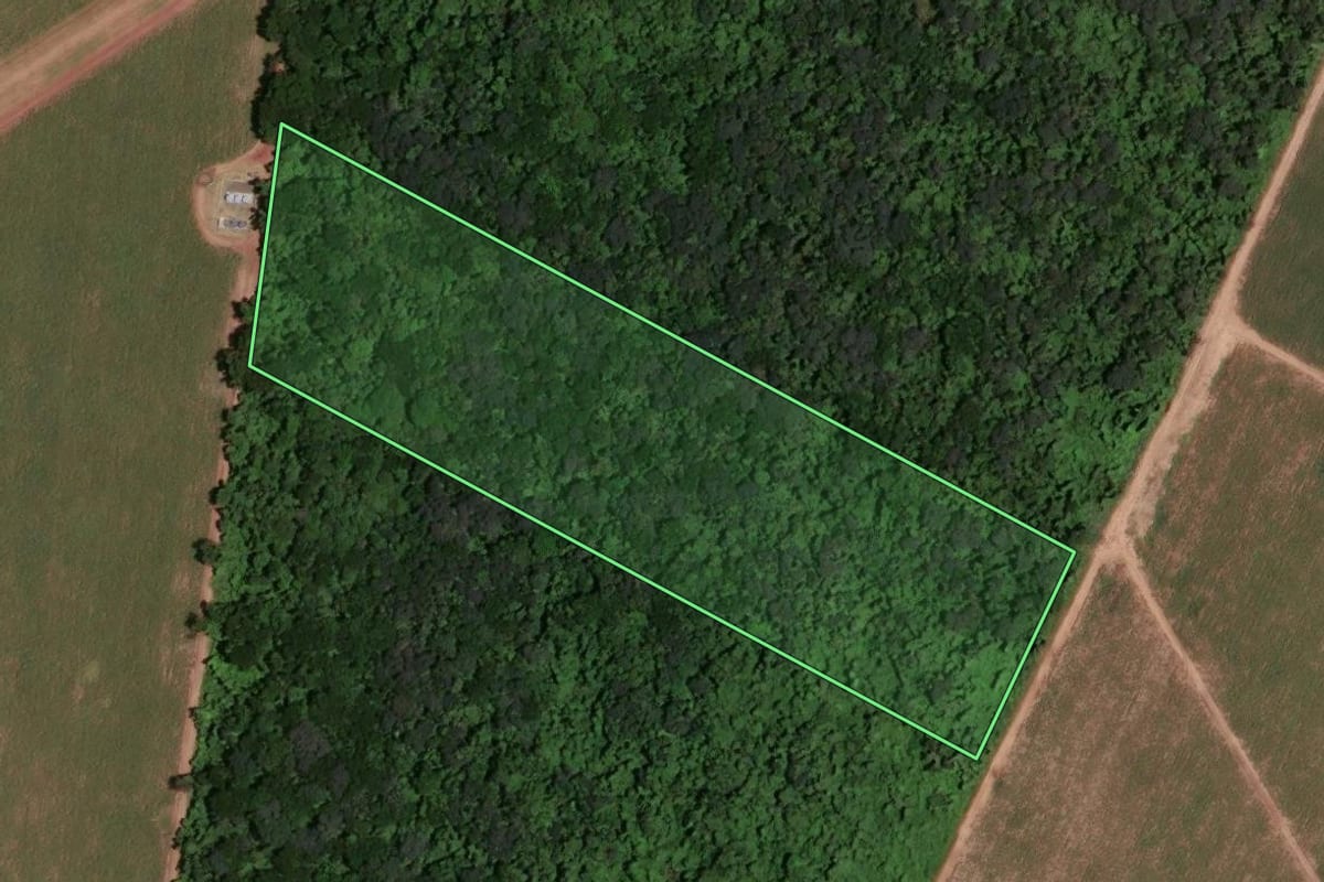 Imagem de satélite do imóvel rural em Descalvado (SP), com o contorno declarado no CAR desenhado por cima.