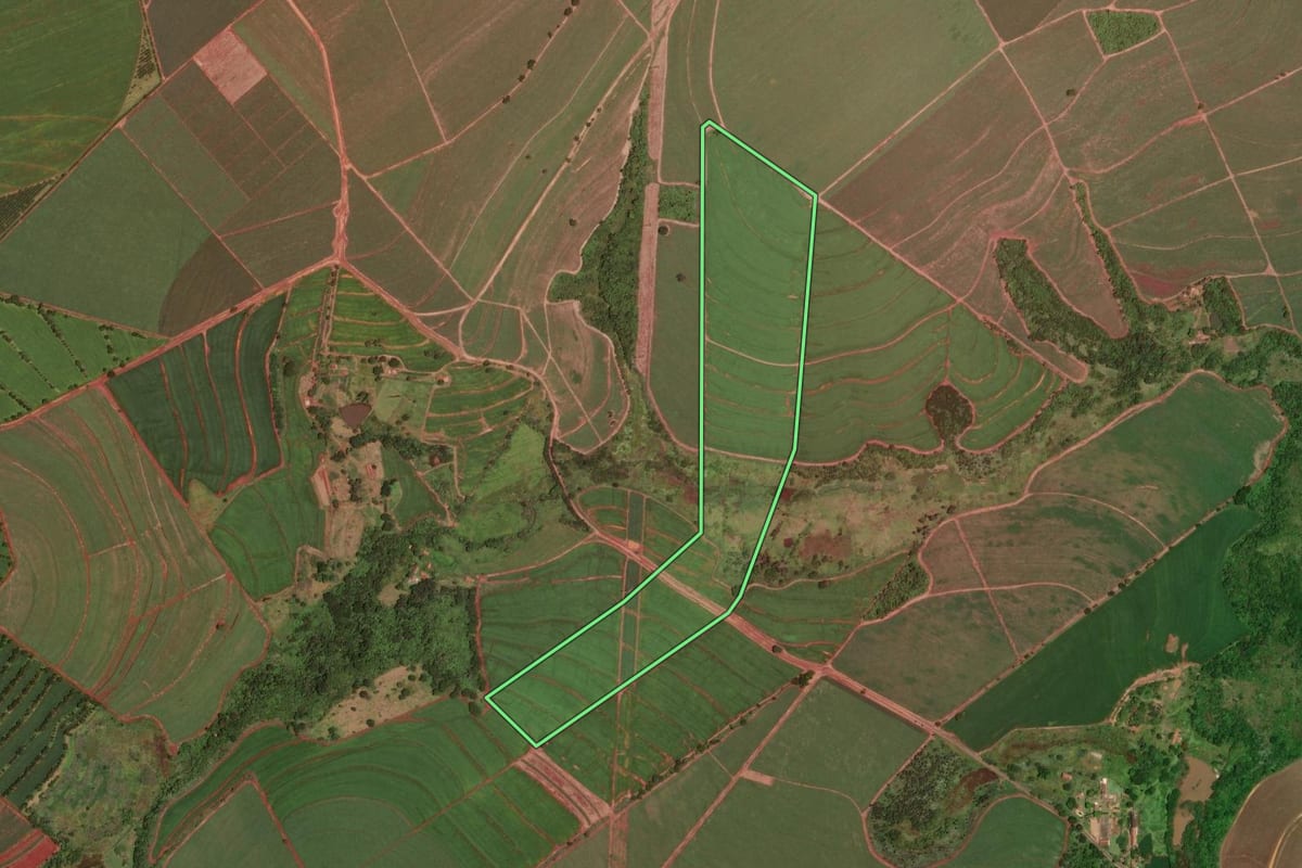 Imagem de satélite do imóvel rural em Descalvado (SP), com o contorno declarado no CAR desenhado por cima.