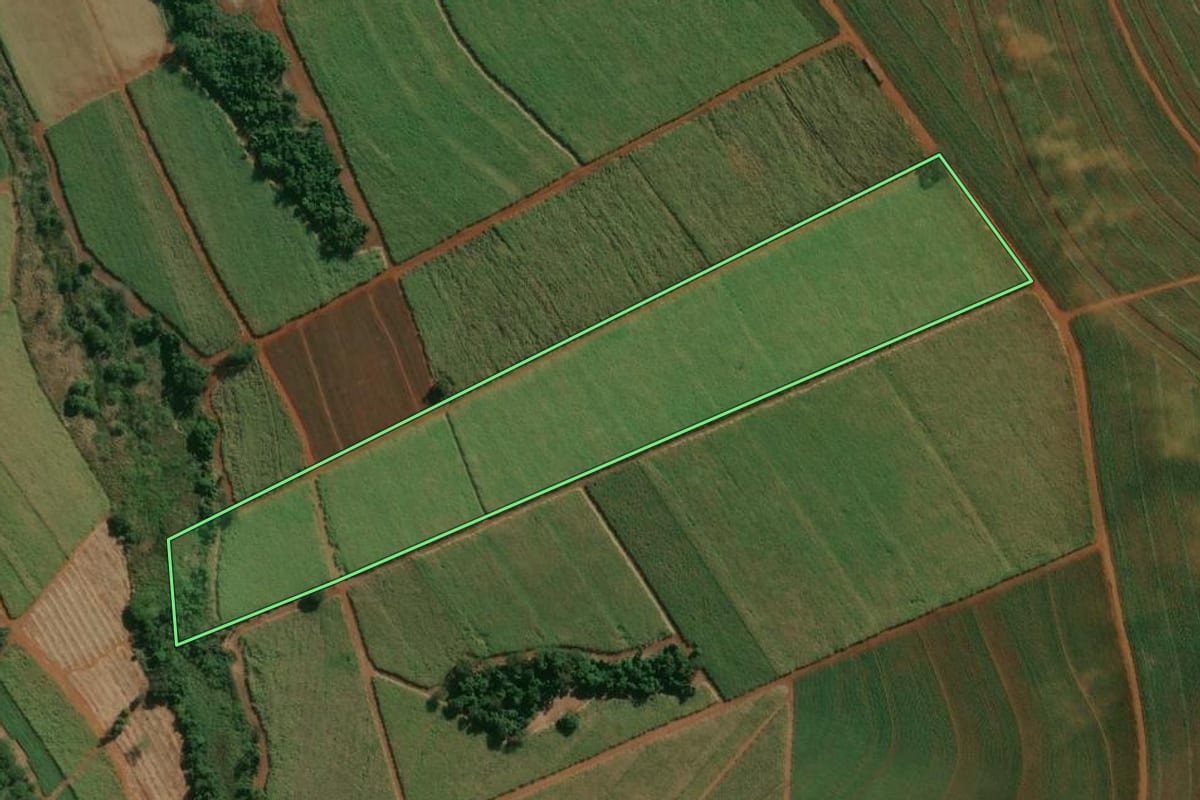Imagem de satélite do imóvel rural em Descalvado (SP), com o contorno declarado no CAR desenhado por cima.