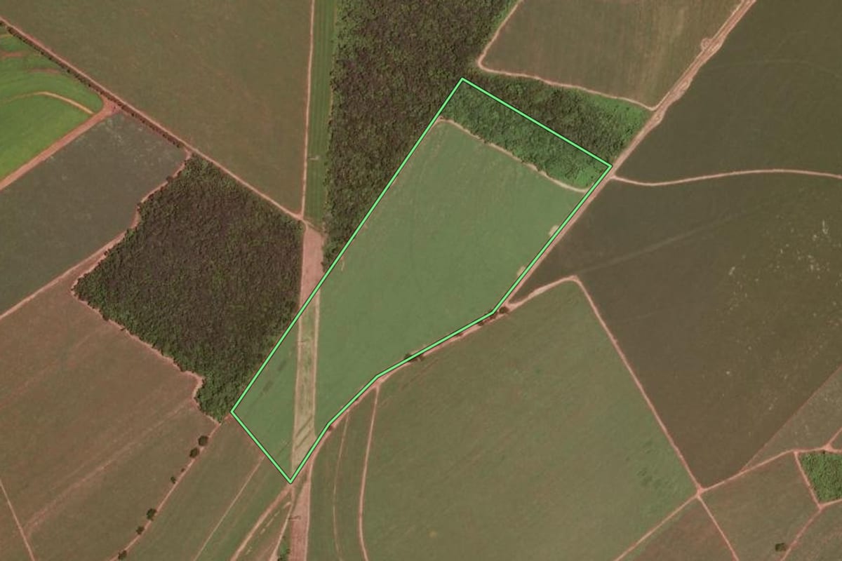 Imagem de satélite do imóvel rural em Descalvado (SP), com o contorno declarado no CAR desenhado por cima.