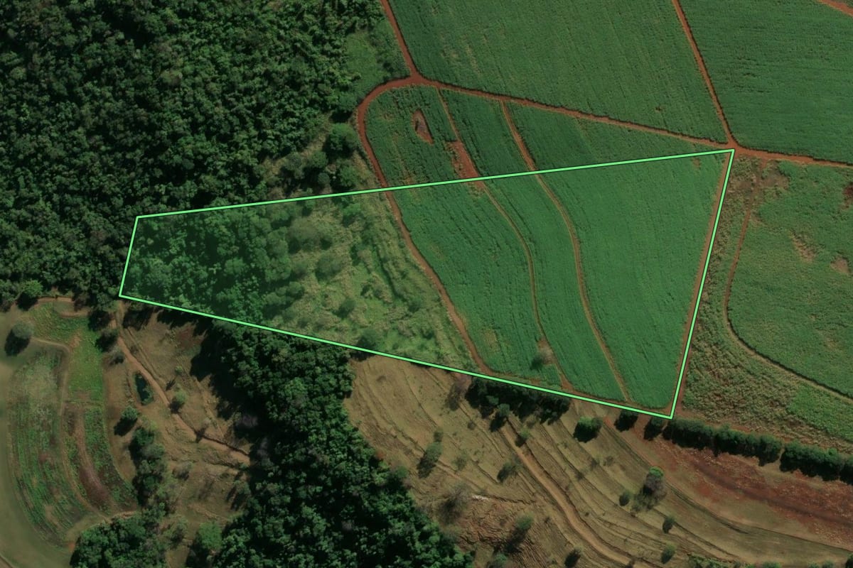 Imagem de satélite do imóvel rural em Descalvado (SP), com o contorno declarado no CAR desenhado por cima.