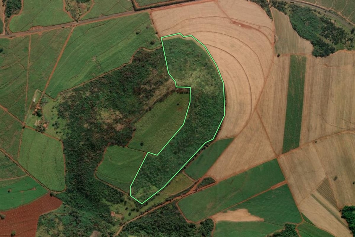 Imagem de satélite do imóvel rural em Descalvado (SP), com o contorno declarado no CAR desenhado por cima.