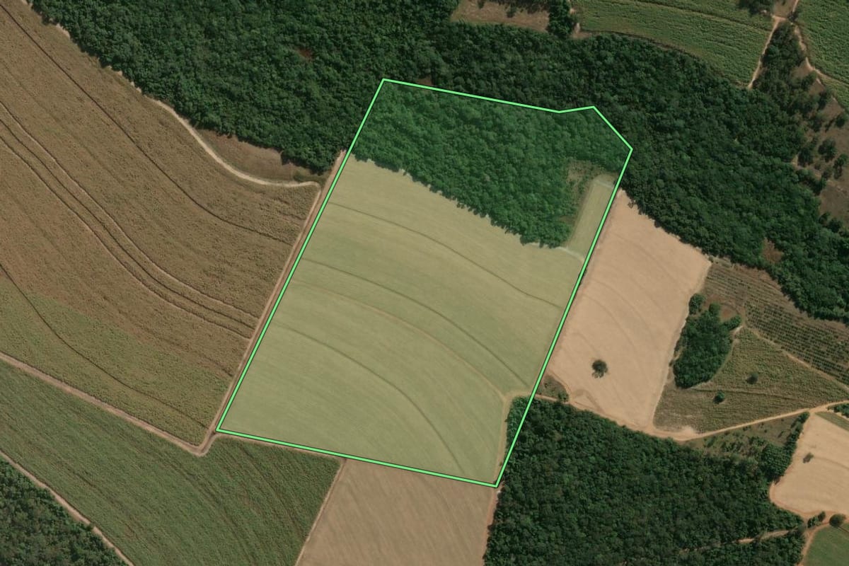 Imagem de satélite do imóvel rural em Descalvado (SP), com o contorno declarado no CAR desenhado por cima.