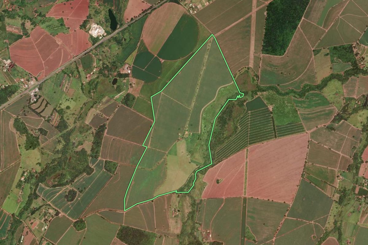 Imagem de satélite do imóvel rural em Descalvado (SP), com o contorno declarado no CAR desenhado por cima.
