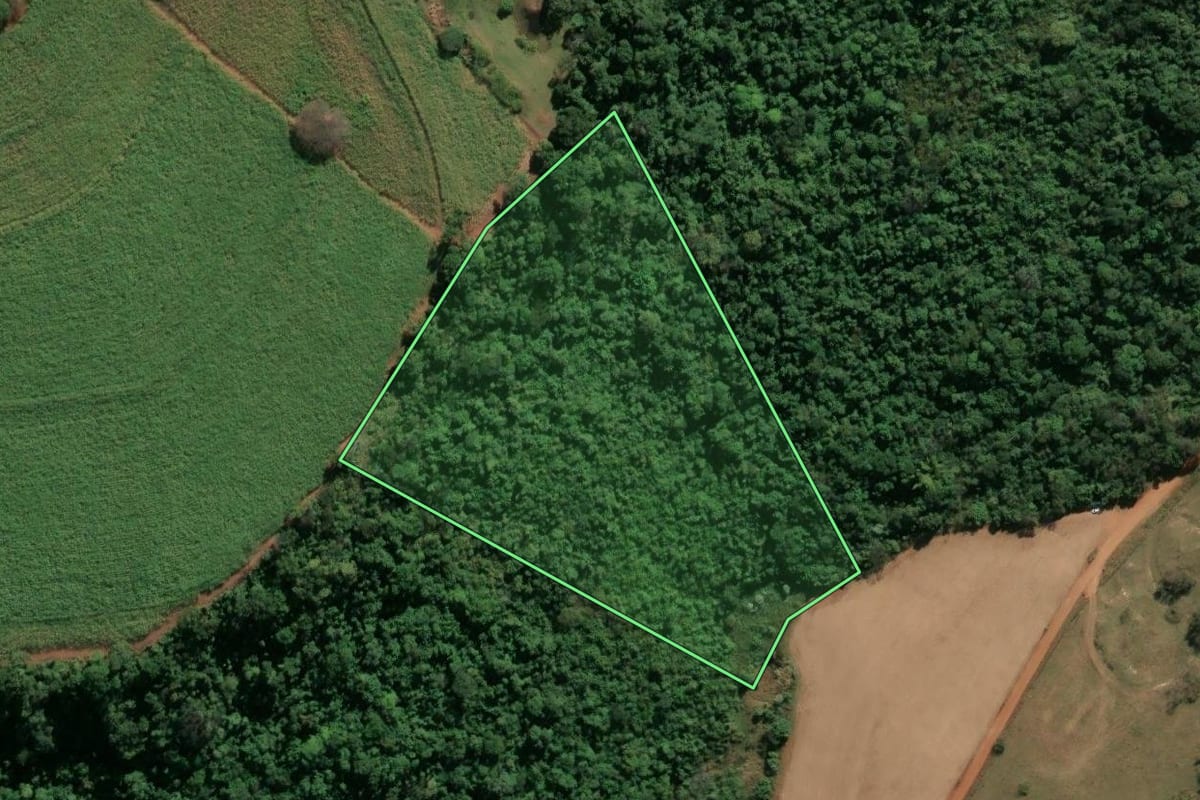 Imagem de satélite do imóvel rural em Descalvado (SP), com o contorno declarado no CAR desenhado por cima.