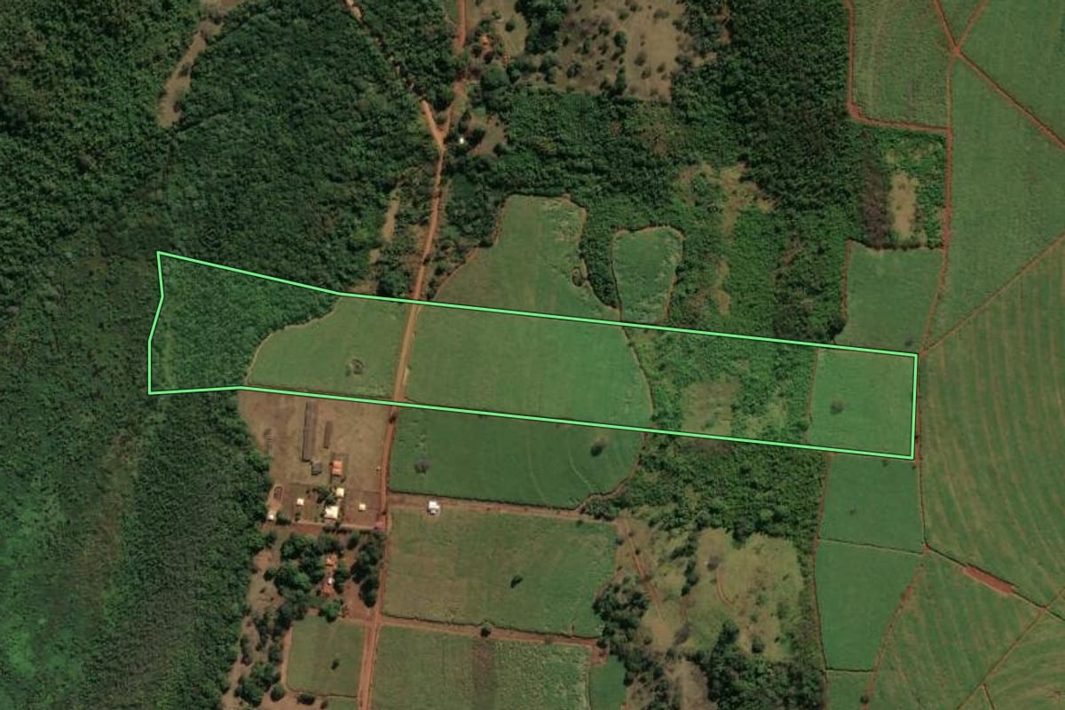 Imagem de satélite do imóvel rural em Descalvado (SP), com o contorno declarado no CAR desenhado por cima.