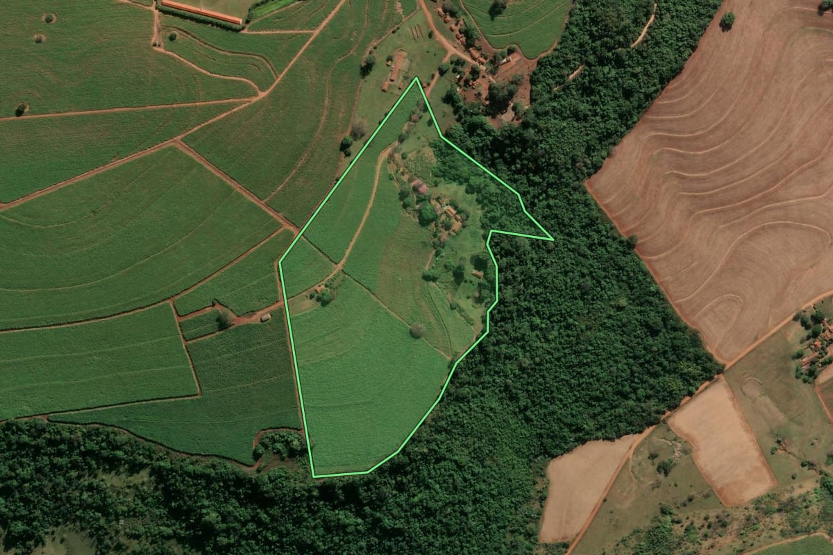 Imagem de satélite do imóvel rural em Descalvado (SP), com o contorno declarado no CAR desenhado por cima.