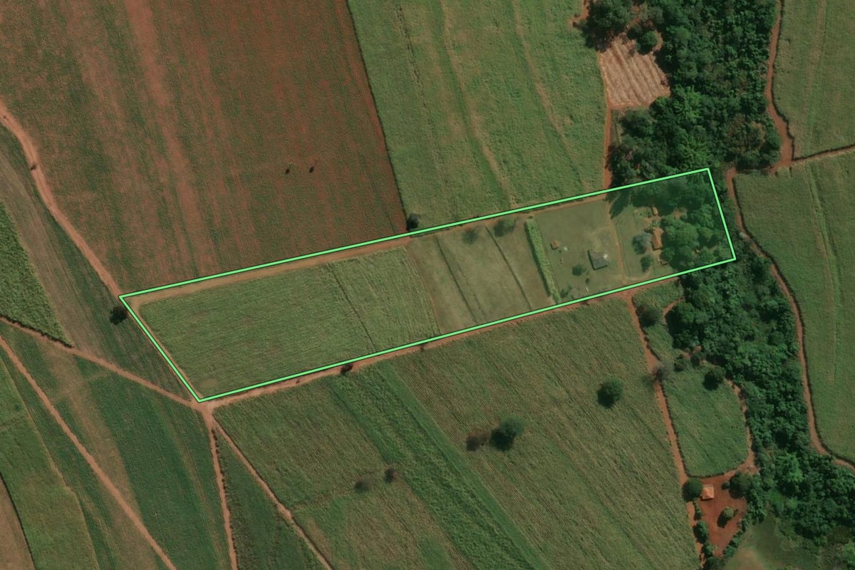 Imagem de satélite do imóvel rural em Descalvado (SP), com o contorno declarado no CAR desenhado por cima.