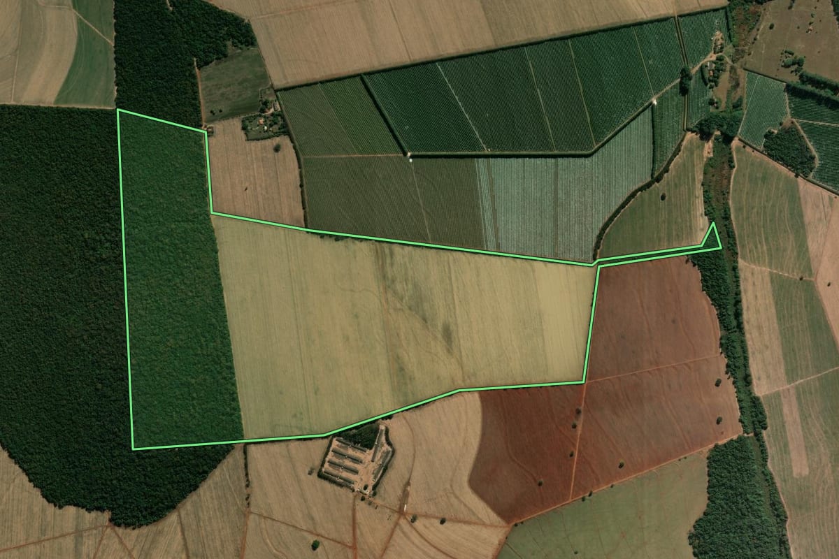 Imagem de satélite do imóvel rural em Descalvado (SP), com o contorno declarado no CAR desenhado por cima.