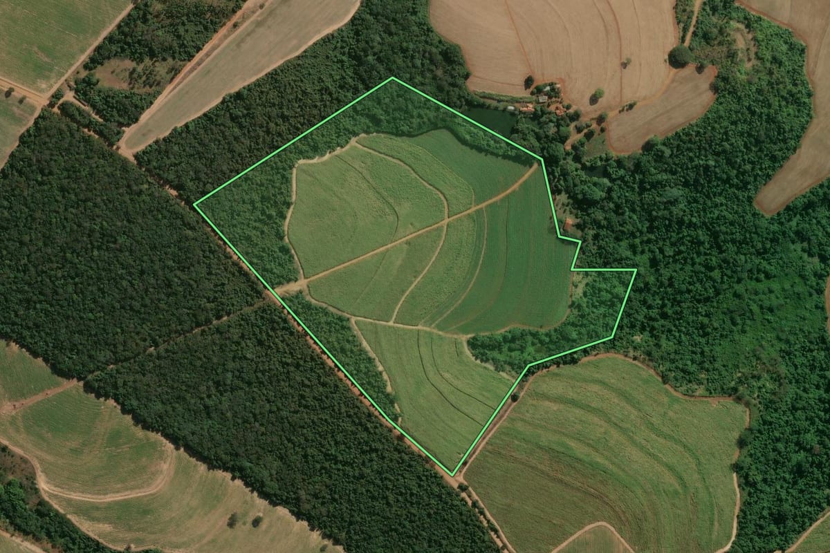 Imagem de satélite do imóvel rural em Descalvado (SP), com o contorno declarado no CAR desenhado por cima.