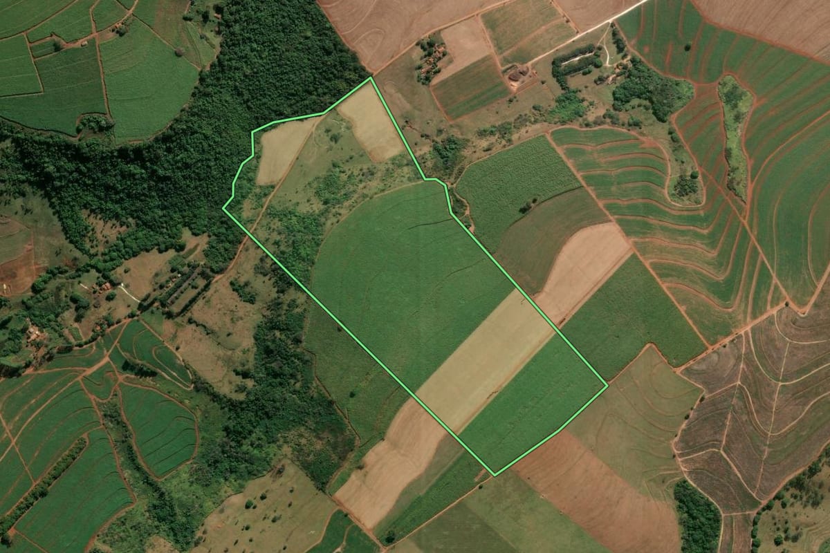 Imagem de satélite do imóvel rural em Descalvado (SP), com o contorno declarado no CAR desenhado por cima.
