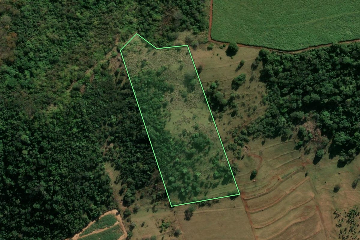 Imagem de satélite do imóvel rural em Descalvado (SP), com o contorno declarado no CAR desenhado por cima.