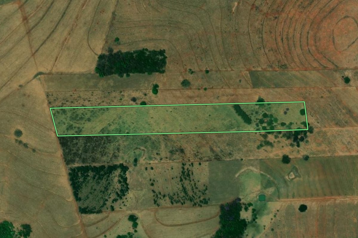 Imagem de satélite do imóvel rural em Dirce Reis (SP), com o contorno declarado no CAR desenhado por cima.