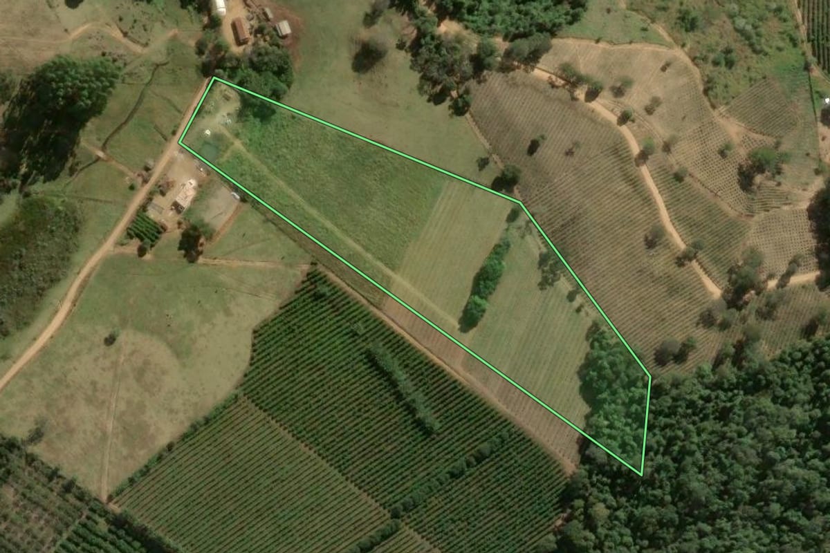 Imagem de satélite do imóvel rural em Divinolândia (SP), com o contorno declarado no CAR desenhado por cima.