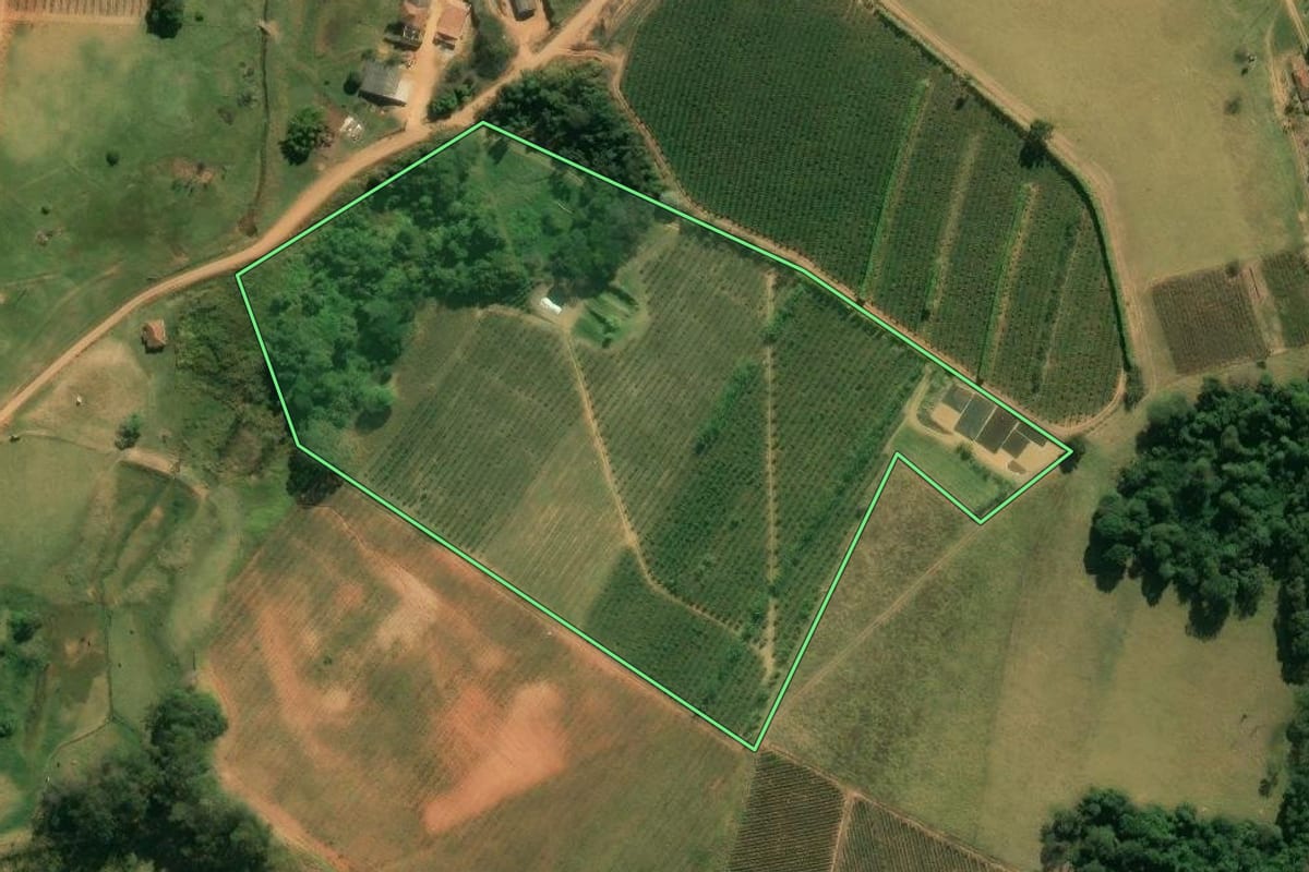Imagem de satélite do imóvel rural em Divinolândia (SP), com o contorno declarado no CAR desenhado por cima.