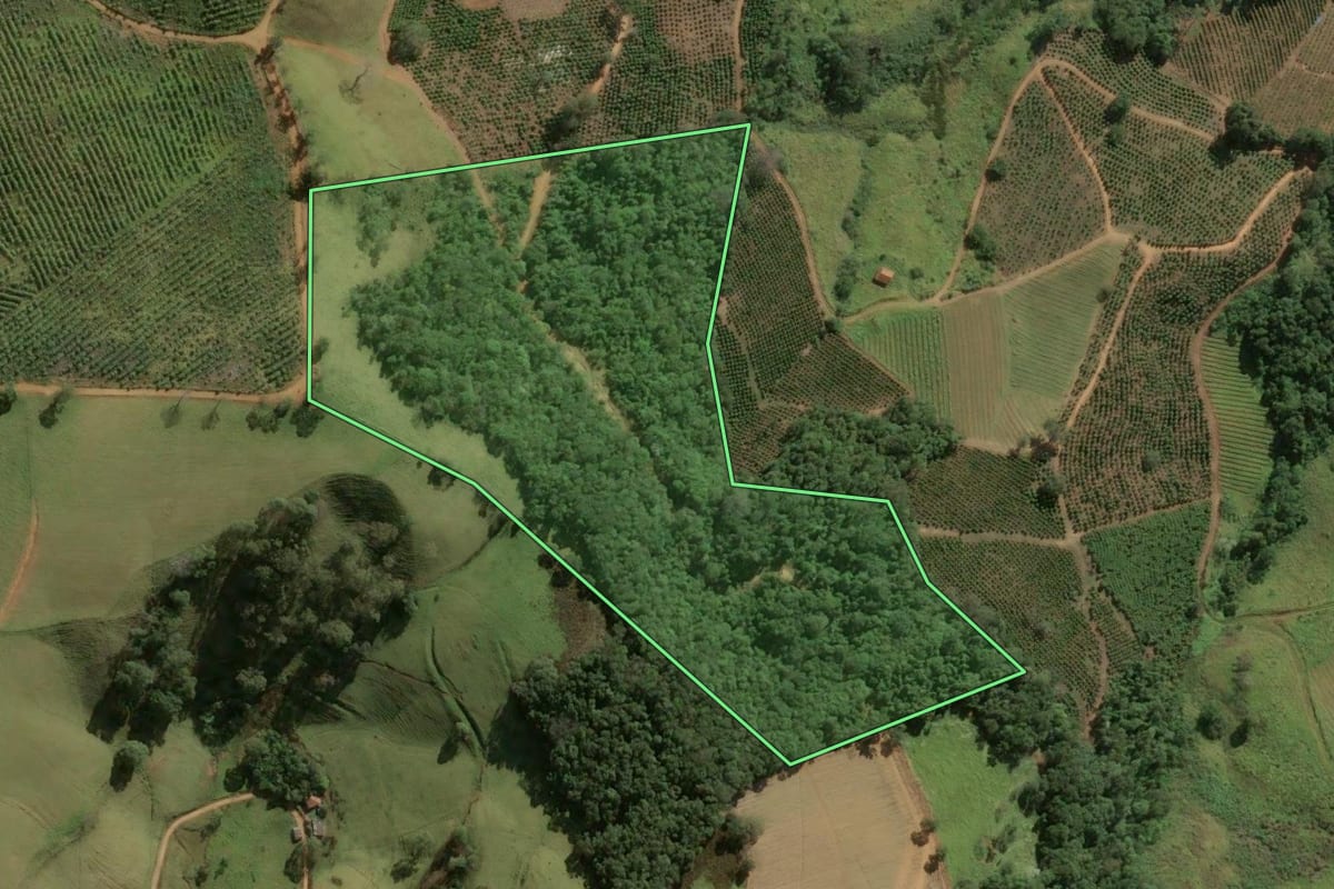 Imagem de satélite do imóvel rural em Divinolândia (SP), com o contorno declarado no CAR desenhado por cima.