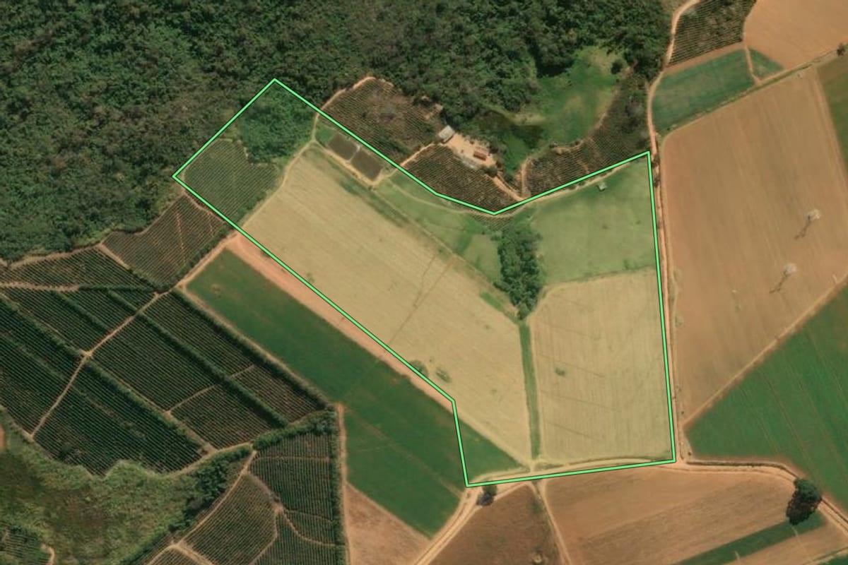 Imagem de satélite do imóvel rural em Divinolândia (SP), com o contorno declarado no CAR desenhado por cima.