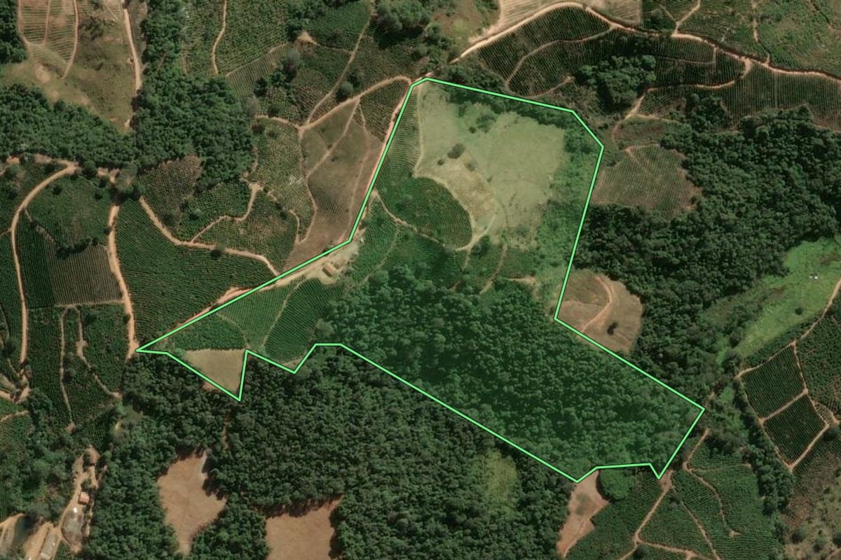 Imagem de satélite do imóvel rural em Divinolândia (SP), com o contorno declarado no CAR desenhado por cima.