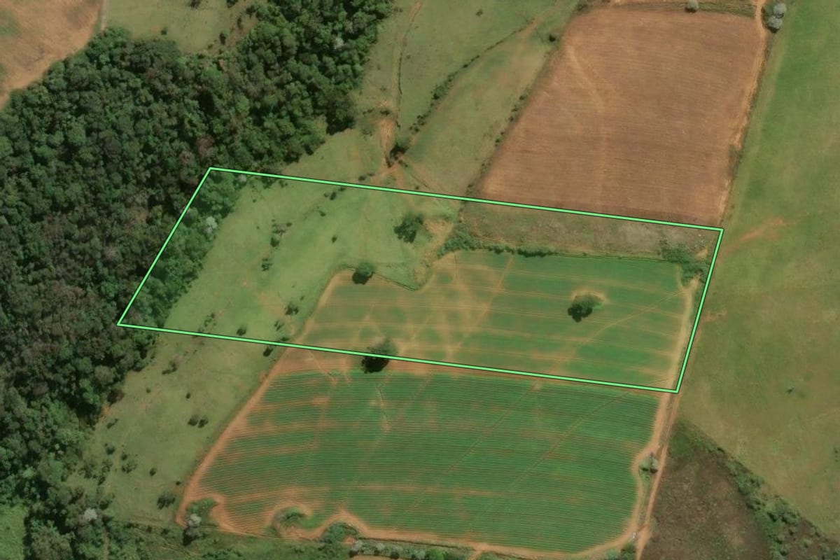 Imagem de satélite do imóvel rural em Divinolândia (SP), com o contorno declarado no CAR desenhado por cima.