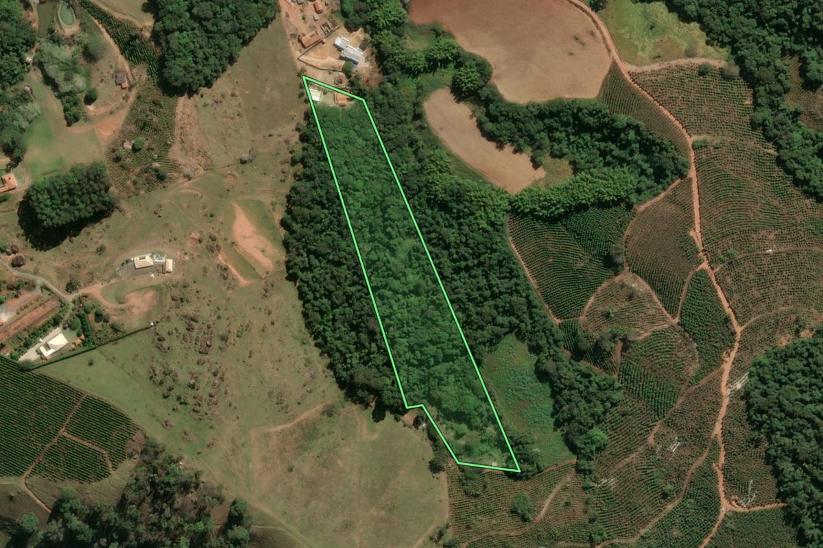 Imagem de satélite do imóvel rural em Divinolândia (SP), com o contorno declarado no CAR desenhado por cima.