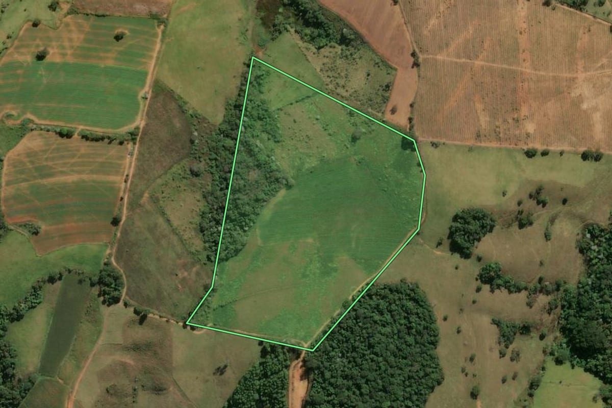 Imagem de satélite do imóvel rural em Divinolândia (SP), com o contorno declarado no CAR desenhado por cima.